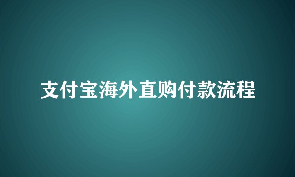 支付宝海外直购付款流程