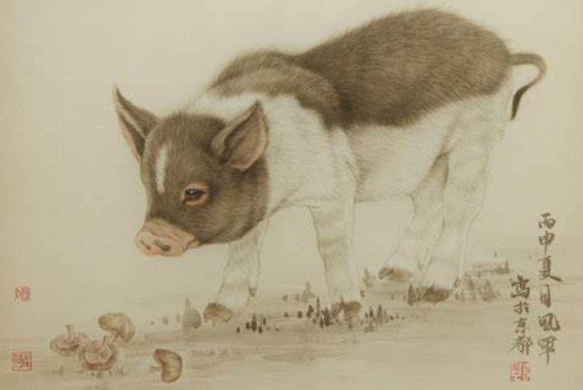 分星瓣两打一生肖