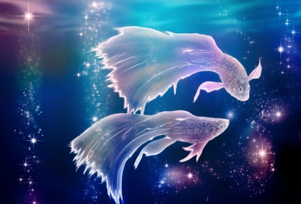 请问2月19日是什么星座?