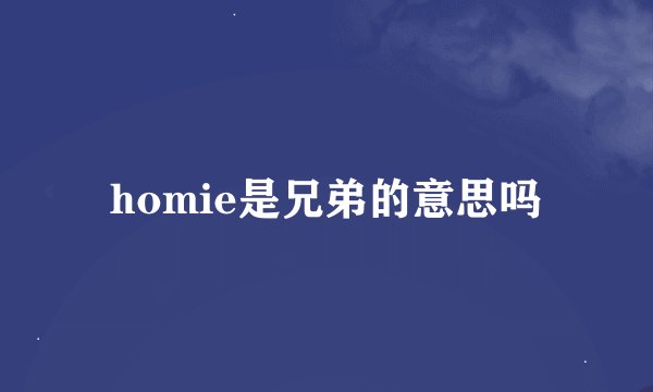 homie是兄弟的意思吗