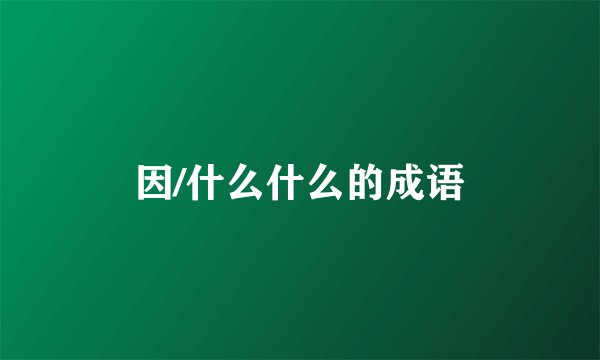 因/什么什么的成语