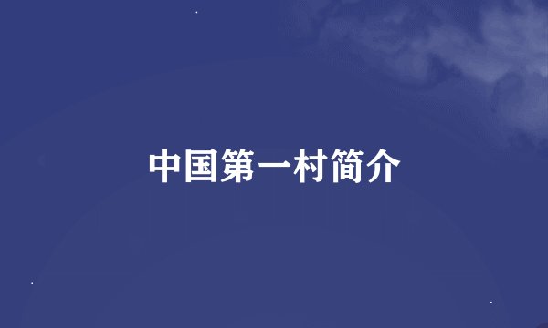 中国第一村简介