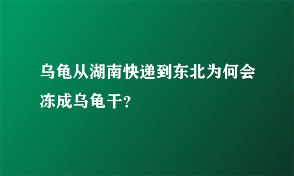 乌龟从湖南快递到东北为何会冻成乌龟干？