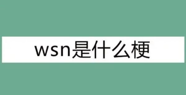 wsn是什么意思网络用语