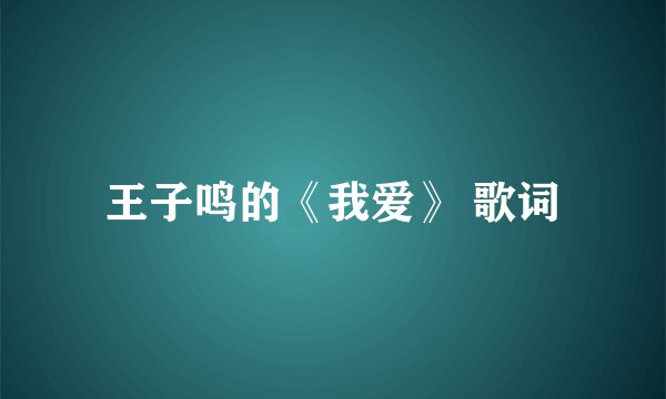 王子鸣的《我爱》 歌词