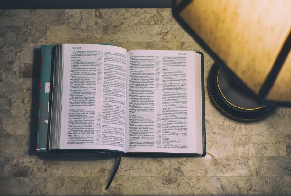 汲赚会苑怎么解释