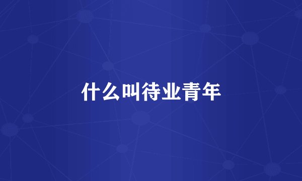 什么叫待业青年