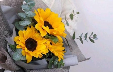 三朵向日葵花语是什么