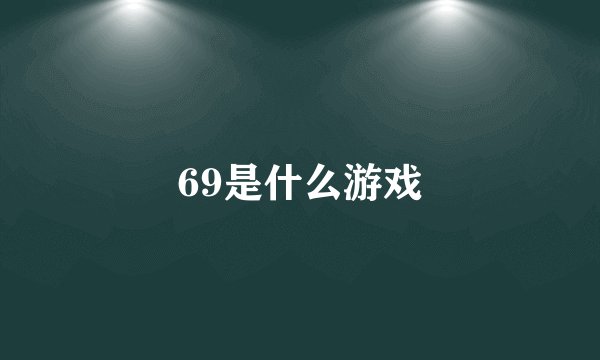 69是什么游戏