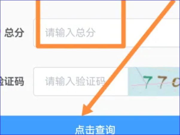 等位分怎么查询