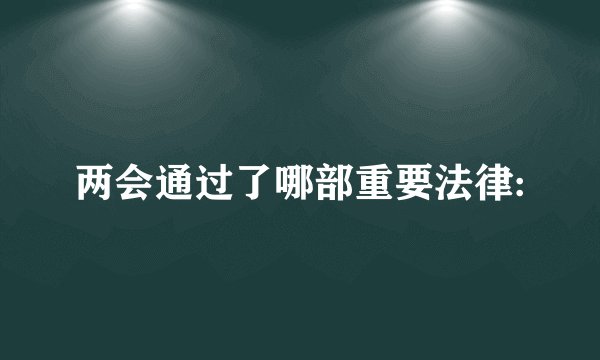 两会通过了哪部重要法律: