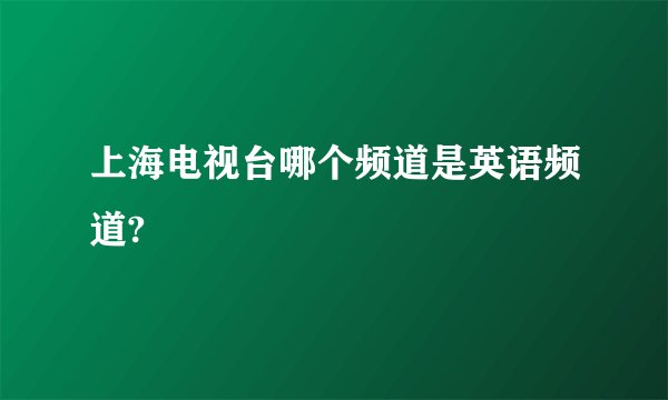 上海电视台哪个频道是英语频道?