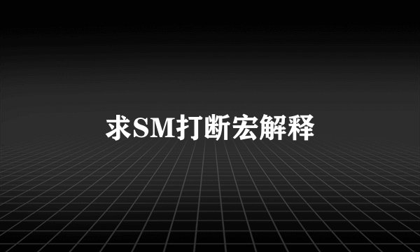 求SM打断宏解释