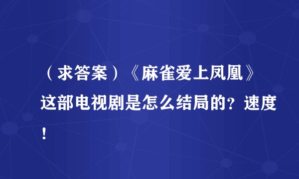 （求答案）《麻雀爱上凤凰》这部电视剧是怎么结局的？速度！