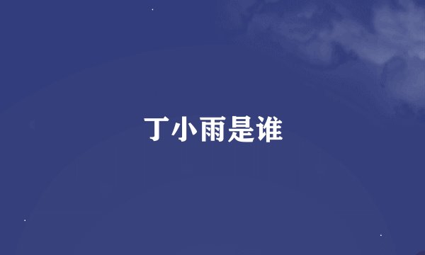 丁小雨是谁