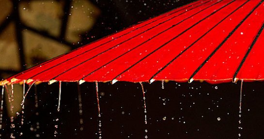 唐朝诡实录多少集