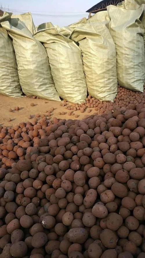 填充陶粒价格多少一方合适