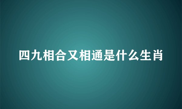 四九相合又相通是什么生肖