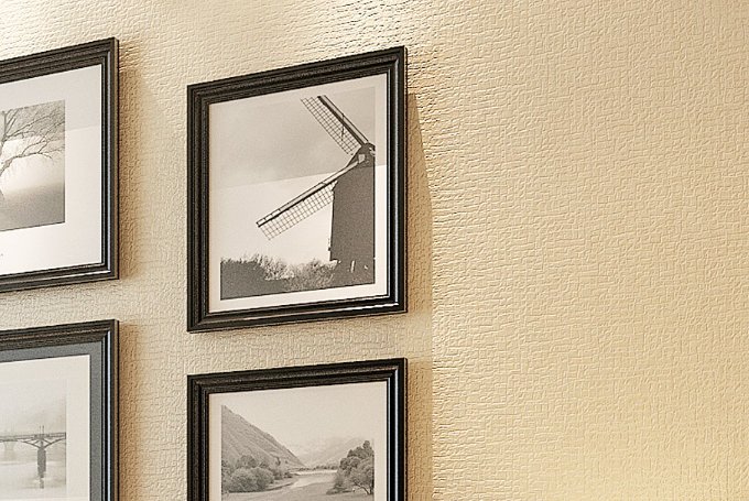 beige是什么意思