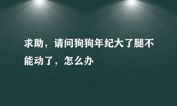 求助，请问狗狗年纪大了腿不能动了，怎么办
