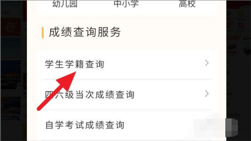 怎么用身份证号查学籍号？