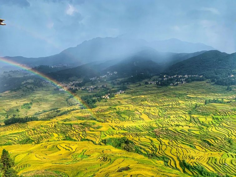 云南大理旅行社排名前十名