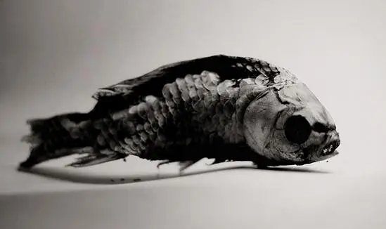 抽离是什么意思