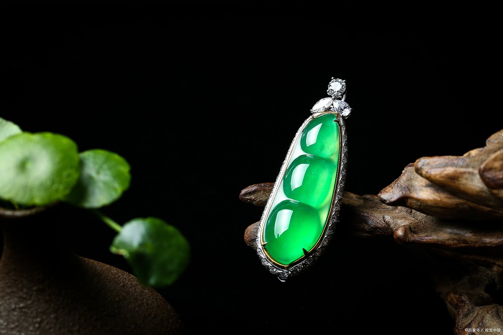 翡翠和玉的区别是什么？买翡翠好还是买玉好？