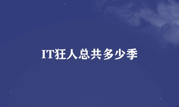 IT狂人总共多少季