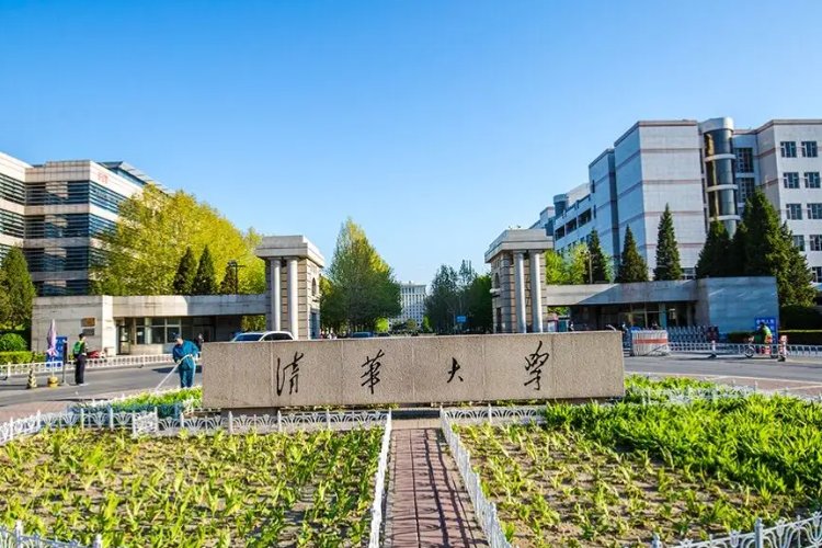 清华大学陈丹蕾结局