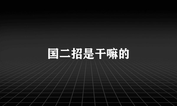 国二招是干嘛的
