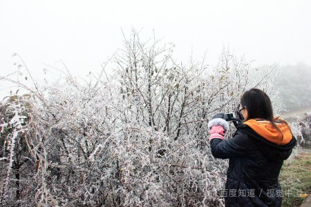 好女孩不多了？