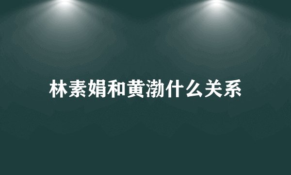 林素娟和黄渤什么关系