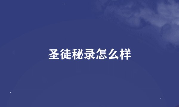 圣徒秘录怎么样