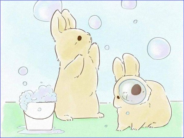 后宫的生肖是哪个生肖的动物