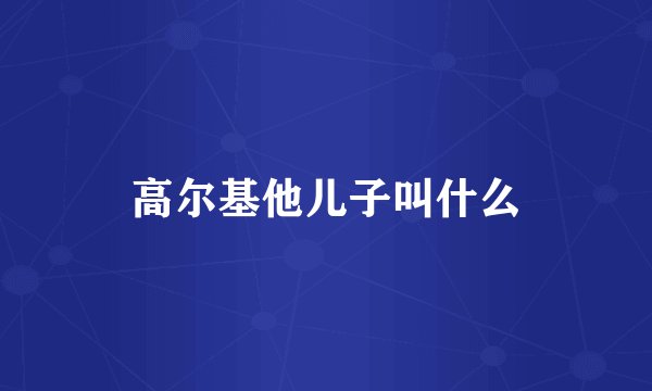 高尔基他儿子叫什么
