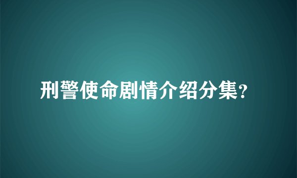 刑警使命剧情介绍分集？