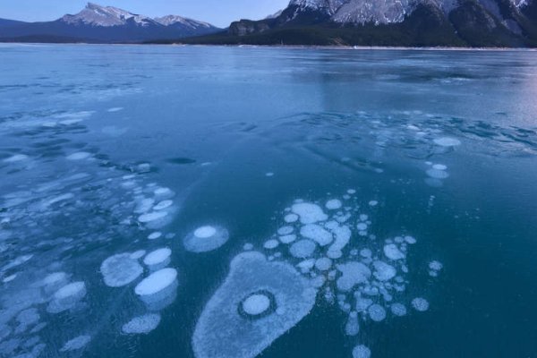 氧气具有的化学性质