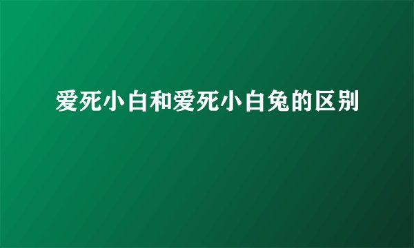 爱死小白和爱死小白兔的区别