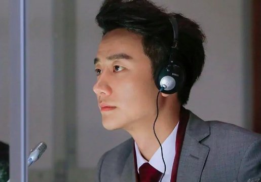 亲爱的翻译官结局