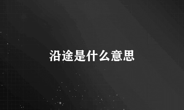沿途是什么意思