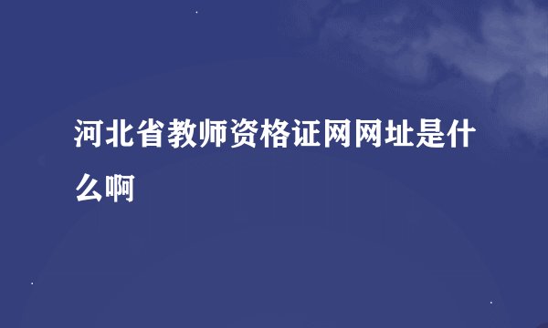 河北省教师资格证网网址是什么啊