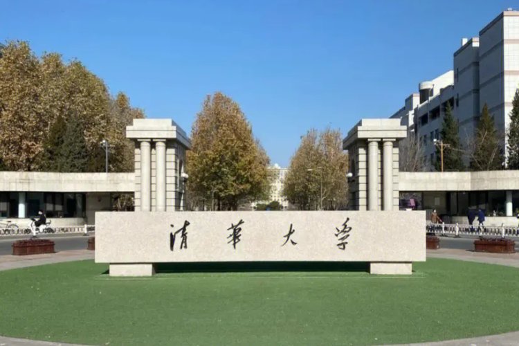 清华大学陈丹蕾结局