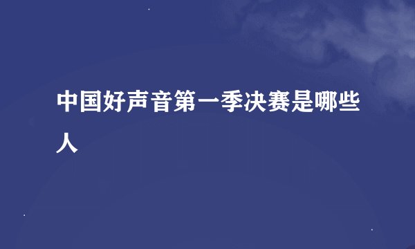 中国好声音第一季决赛是哪些人