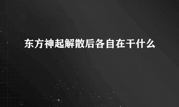 东方神起解散后各自在干什么