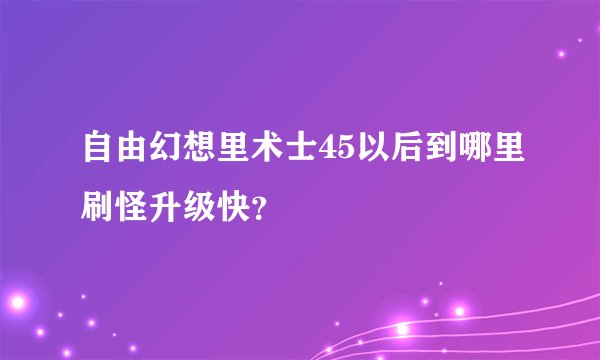 自由幻想里术士45以后到哪里刷怪升级快？