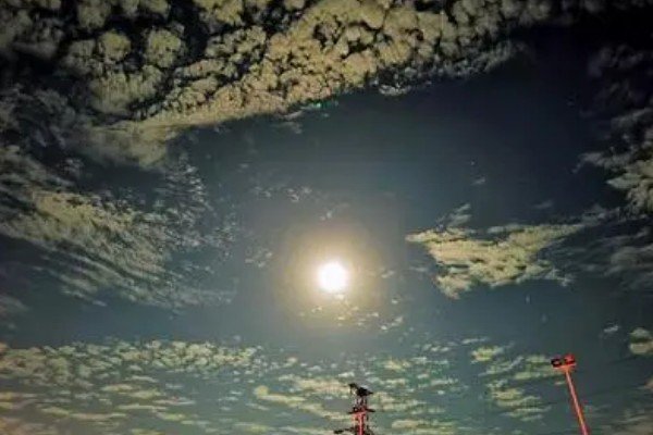 月朗星稀的诗句