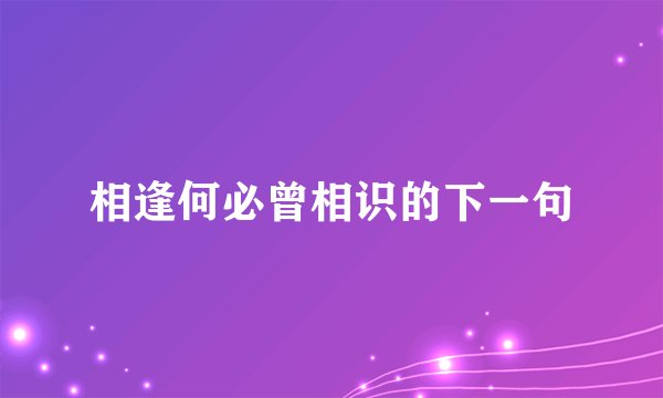 相逢何必曾相识的下一句