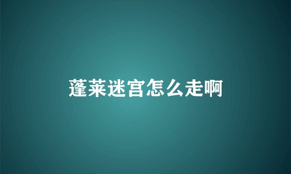 蓬莱迷宫怎么走啊