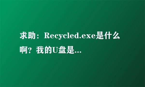 求助：Recycled.exe是什么啊？我的U盘是不是中毒了？